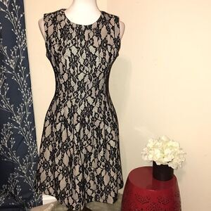 Anthro | HD in Paris Violante Lace Dress